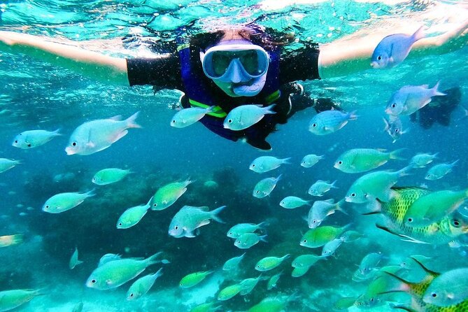 Kaan Luum Lagoon and Cenote Snorkel Tour in Tulum - Discover the Tranquility of Laguna Kaan Luum