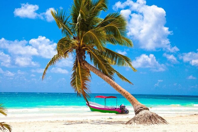 Kaan Luum Lagoon, Cenote Zacil Ha & Cenote Zemway Tour from Tulum - Swimming in Cenote Zacil-Ha: A Bright, Open Cenote