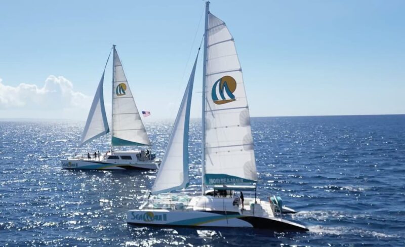 Ka'anapali Beach: Coral Reef Snorkel and Turtle Spotting - Snorkeling from the Sands of Kaanapali Beach