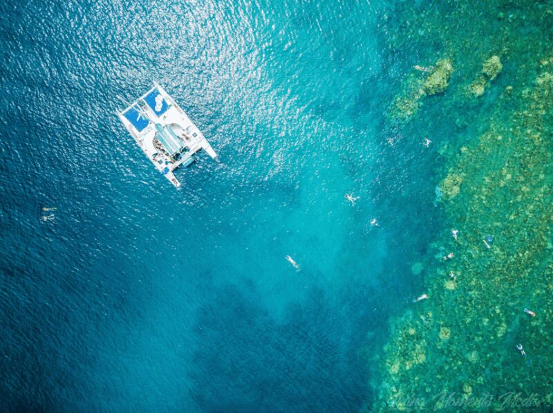 Ka'anapali Beach: Coral Reef Snorkel and Turtle Spotting - Drinks and Relaxation on the Return Trip