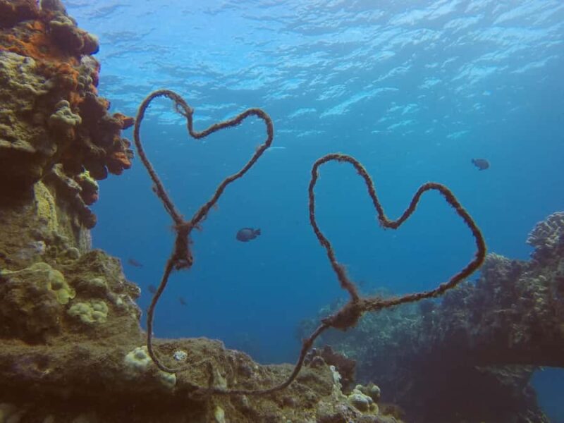 Kaanapali Lahaina: Intro Scuba Dive in Maui Strong Swimmers - Logistics and Group Size for a Personal Experience