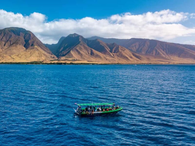 Ka'anapali: Whale Watching Boat Tour - Approaching the Majestic Humpback Whales