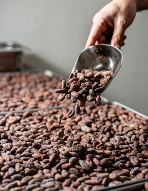 KAIACAO Bean to Bar and Design your own chocolate experience - Discover Madrid’s Bean-to-Bar Chocolate Factory: KAIACAO