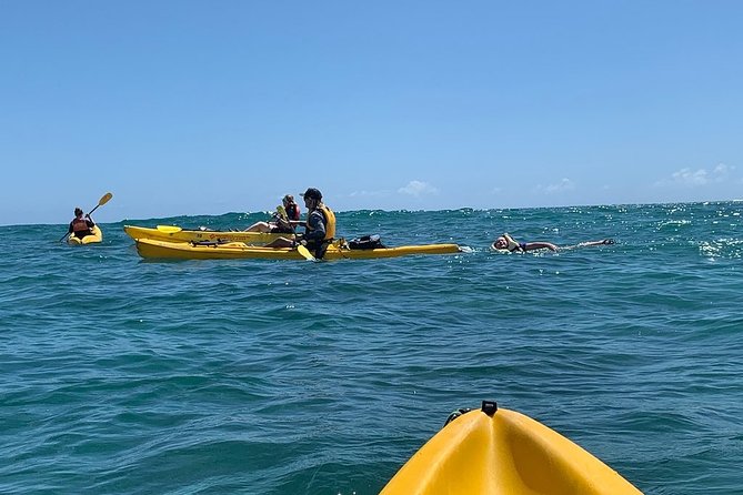 Kailua 2-Hour Guided Kayaking Excursion, Oahu - Why This Tour Stands Out in Kailua