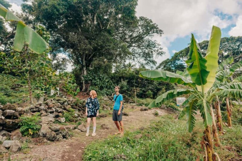 Kailua E-Bike Kau Kau Guided Scenic Food Tour Adventure - Flexibility and Practicalities of the Tour