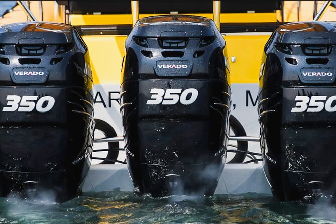 Kailua-Kona Adventure Whale Watch - The Experience with Hawaiian Adventures’ Guides