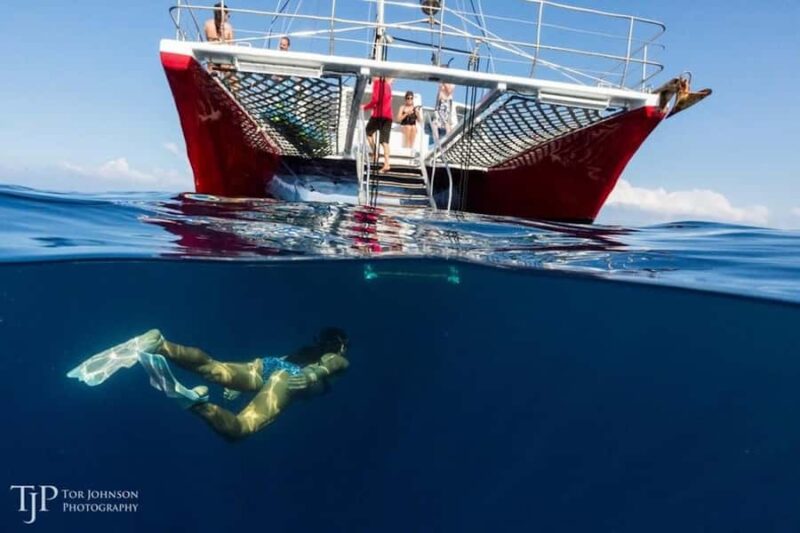 Kailua-Kona: Kealakekua Bay Snorkel and Sail with Lunch - Scenic Sail Along the Kona Coast