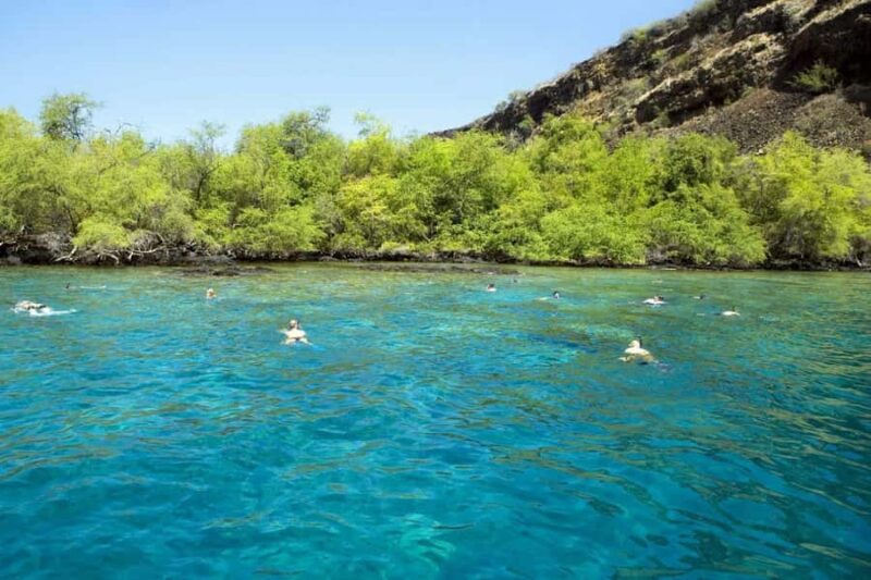 Kailua Kona: Kealakekua Bay Snorkeling Tour with Lunch - Suitability and Restrictions for Participants