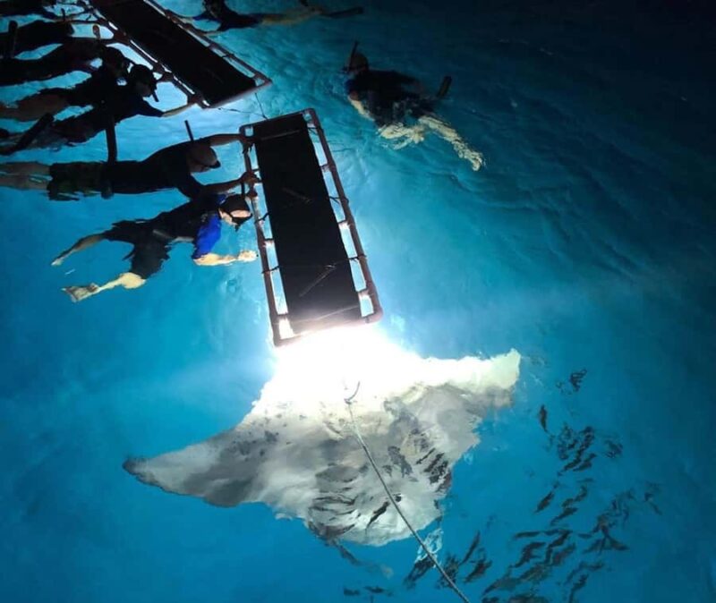 Kailua-Kona: Late Night Snorkeling Adventure with Manta Rays - Discover the Unique Nighttime Adventure with Manta Rays in Kona