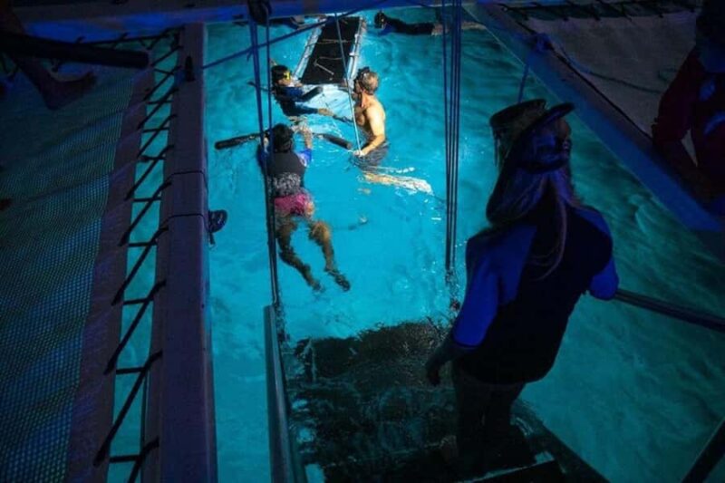 Kailua-Kona: Late Night Snorkeling Adventure with Manta Rays - How the Tour Uses Kona’s Lights to Set the Scene for Manta Ray Encounters