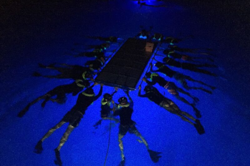 Kailua Kona: Night Manta Ray Adventure on the Big Island - The Guides and Crew: Friendly and Knowledgeable