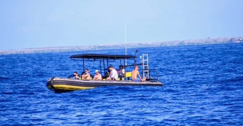 Kailua-Kona: Private Marine Charter Adventure - Key Points