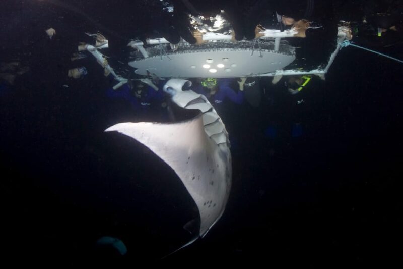 Kailua-Kona: Private Marine Charter Adventure - Kailua-Kona Private Marine Charter Adventure: Final Thoughts