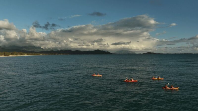 Kailua: Mokulua Islands Kayak Tour with Lunch - Physical Requirements and Suitability