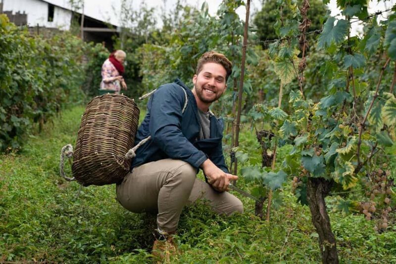 kakaheti free wine bodbe sighnagi & telavi - Visiting Manavi and Badiauri Villages for Wine and Bread