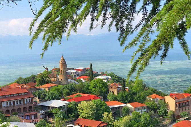 Kakheti and Sighnaghi tour with winetasting - Explore Kakheti and Sighnaghi with an Authentic Georgian Experience