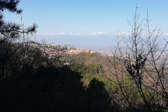 Kakheti Full Day Private Tour - Exploring Sighnaghi, the City of Love