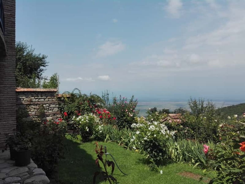 Kakheti: Individual Day Tour To Sighnaghi From Tbilisi - Practical Details: Logistics and Comfort