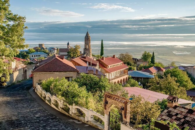 Kakheti Private Tour with Wine Tasting from Tbilisi - Potential Limitations and Considerations