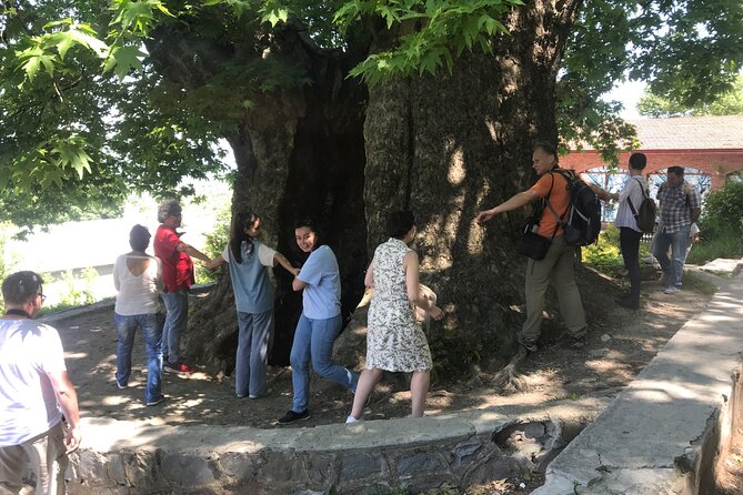 Kakheti Private: Wine, History, and City of Love - Tasting Georgia’s Traditional Sweets and Wines