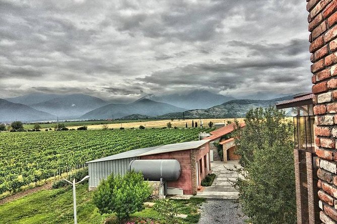 Kakheti-Wine Region Full-Day Superior Private Guided Tour & Organic Wine Tasting - Exploring Khareba Tunnel Winery and Traditional Wine Tasting