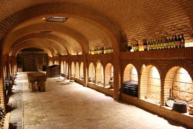 Kakheti-Wine Region Full-Day Superior Private Guided Tour & Organic Wine Tasting - Discovering the Wine Museum in Nafareuli