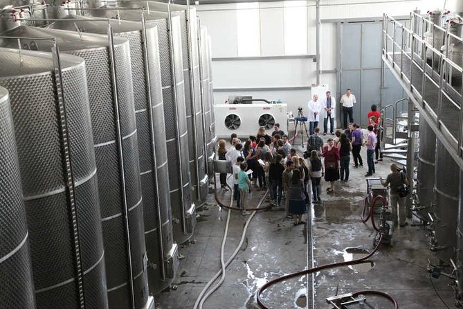 Kakheti Wine & Sighnaghi Private Tour from Tbilisi - Visiting Bodbe Monastery of St. Nino