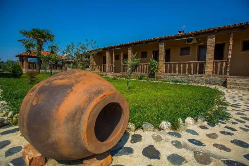 Kakhetian Authentic Wine Tasting and Traditional Dinner - Key Points