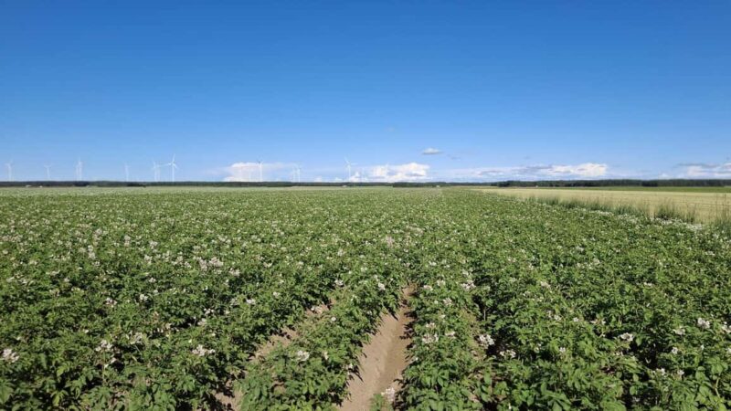 Kalajoki: A Day with a Local - Life at the Arctic coast - What to Bring for Comfort and Safety