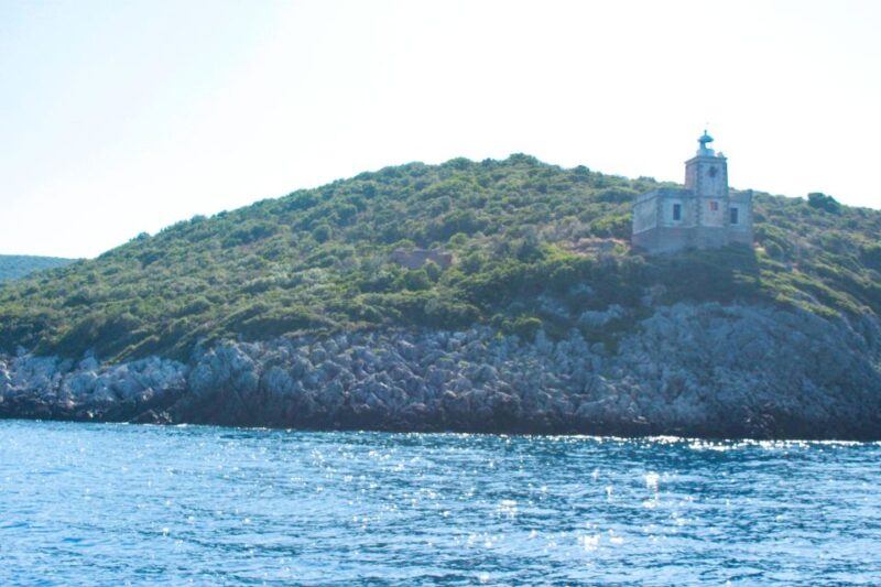 Kalamata - Kitries Boat Snorkel Tour - The Experience Led by Knowledgeable Guides