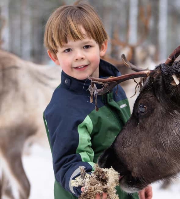 Kalix: Snowmobile Tour with Reindeer Feeding & Lunch - Snowmobile Adventure in Norrbotten’s Wilderness