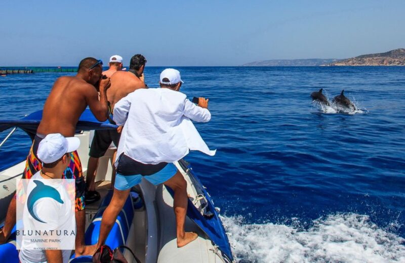 Kamiros Skala : Marine Life Experience & Alimia Island - Exploring the Uninhabited Alimia Island