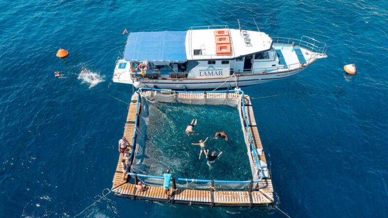 Kamiros Skala: Marine Life Experience by Boat - Discover the Marine Wonders of Kamiros Skala with a 3-Hour Boat Adventure