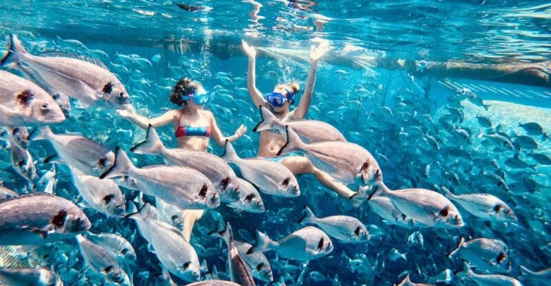 Kamiros Skala: Marine Life Experience by Boat - Food, Refreshments, and Underwater Photography