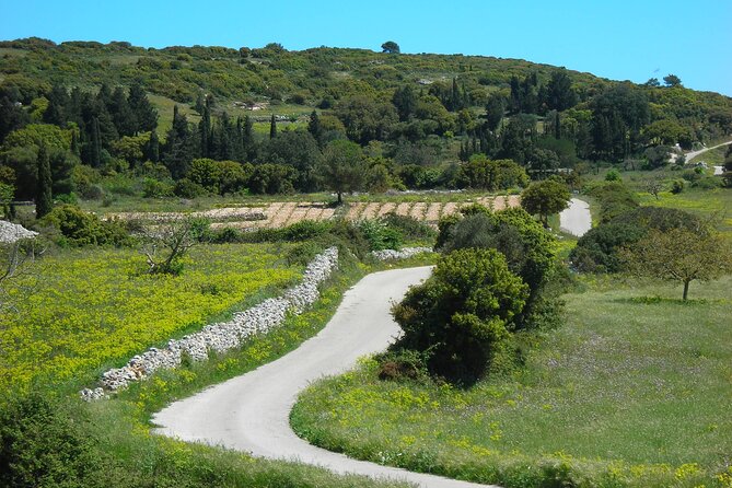 Kampi Sunset - Key Points