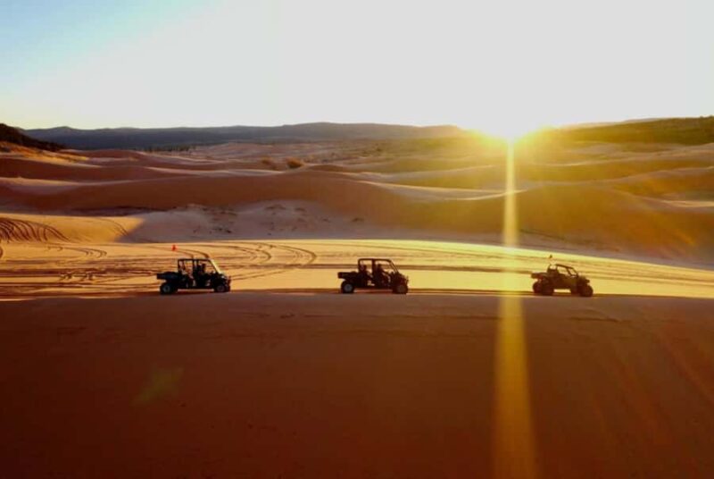 Kanab: Coral Pink Sand Dunes UTV, Slot Canyon & Sand Surfing - The Scenic Setting at Coral Pink Sand Dunes State Park