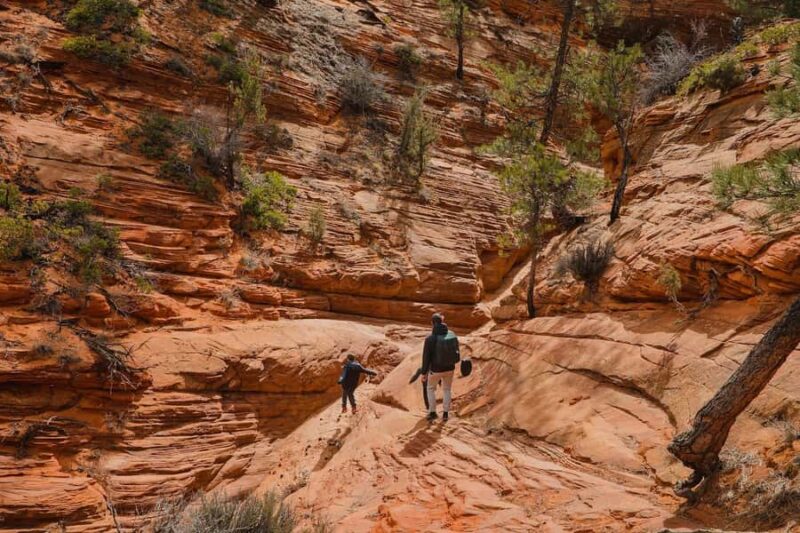Kanab: Coral Pink Sand Dunes UTV, Slot Canyon & Sand Surfing - Who Will Enjoy This Tour Most?