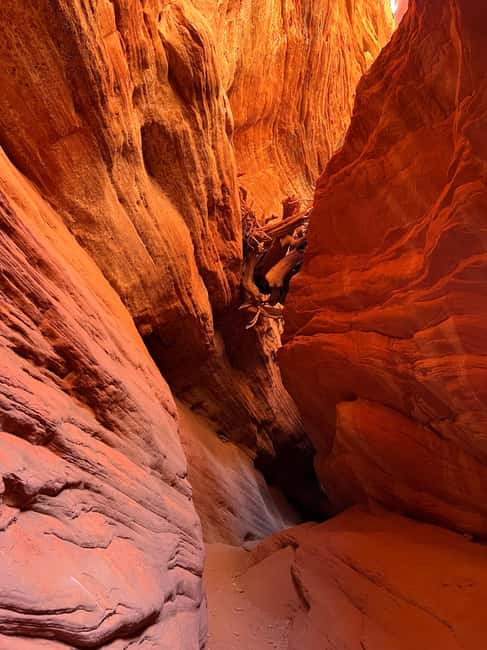 Kanab: Peekaboo Slot Canyon & Great Chamber Tour/Guided Hike - Journey to the Great Chamber at Cutler Point