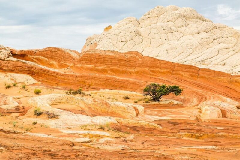 Kanab: White Pocket Tour & Hike - Guided Exploration of White Pockets Sandstone Formations