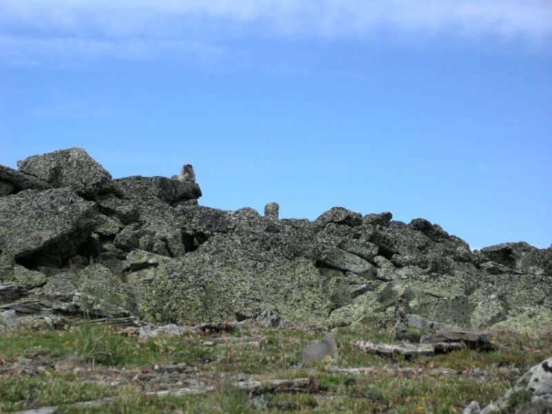 Kananaskis Country: Day Hike - Returning to the Trailhead and Concluding the Hike