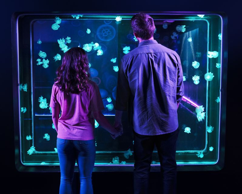 Kansas City: SEA LIFE Kansas City Aquarium General Admission - Discover the Enchanting Jellyfish and Coral Reef Displays