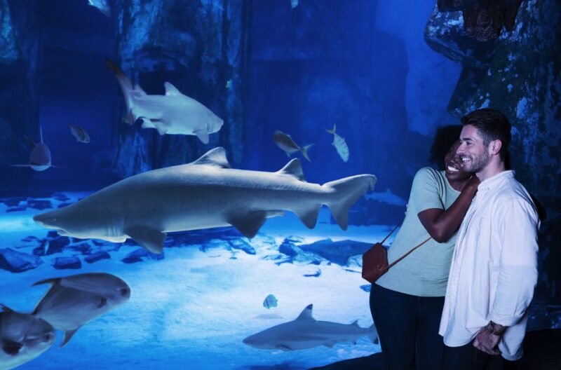 Kansas City: SEA LIFE Kansas City Aquarium General Admission - Practical Tips for Visiting SEA LIFE Kansas City