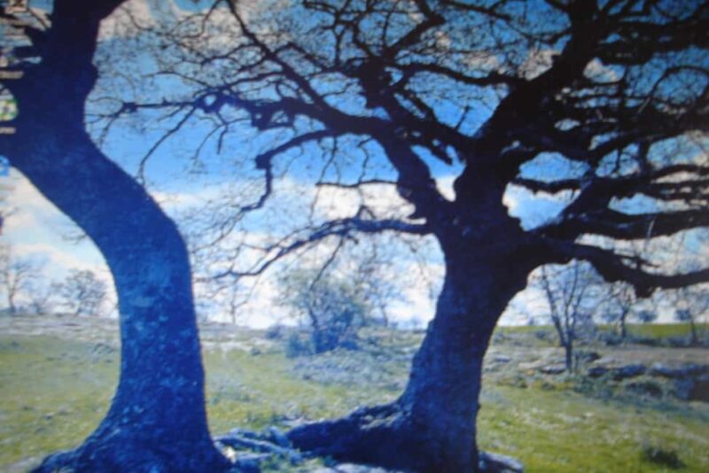 Kaos Vulcanico: volcanic wine tasting in Maremma - Discover the Unique Volcanic Wines of Sassotondo in Tuscany