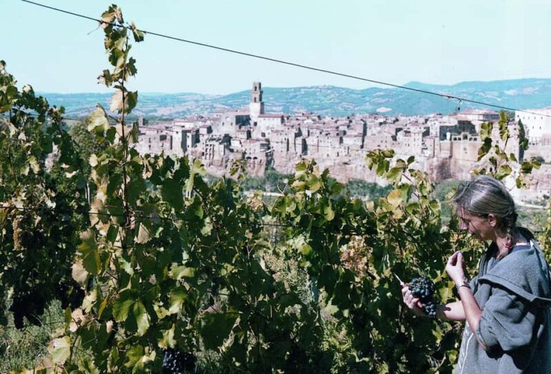 Kaos Vulcanico: volcanic wine tasting in Maremma - Visiting the Winery’s Organic Vineyards