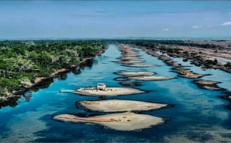 Karavasta:Bird Watching, Tower Views & Lagoon Boat Ride - Key Points