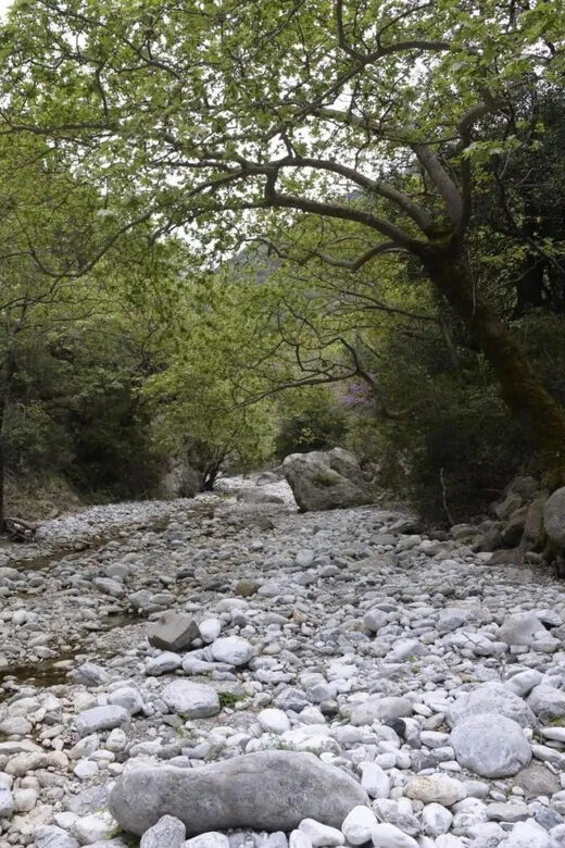 Kardamili : Hiking in Ridomo gorge - Explore the Spectacular Ridomo Gorge Near Kardamili