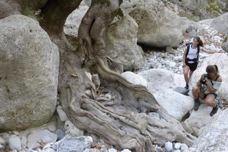 Kardamili : Hiking in Ridomo gorge - What the Hike Involves