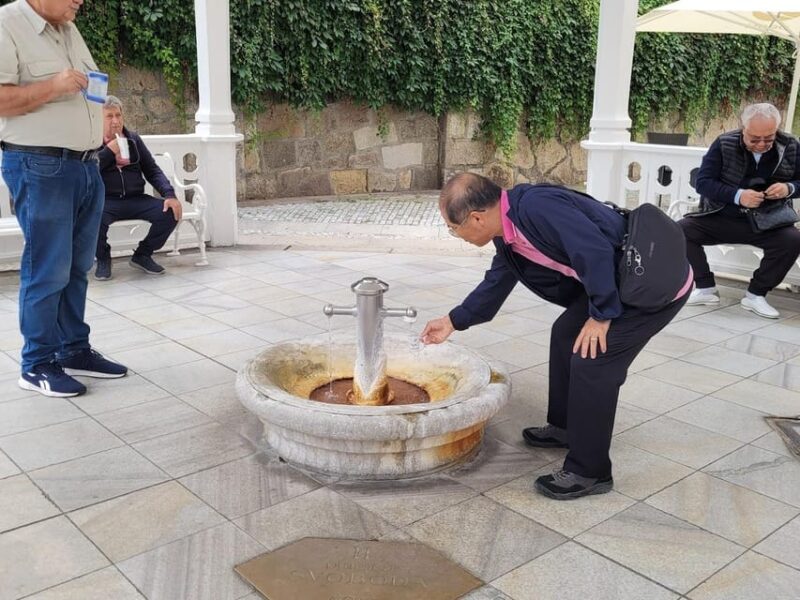 Karlovy Vary: Mineral Hot Springs Tasting and Walking Tour - Key Points