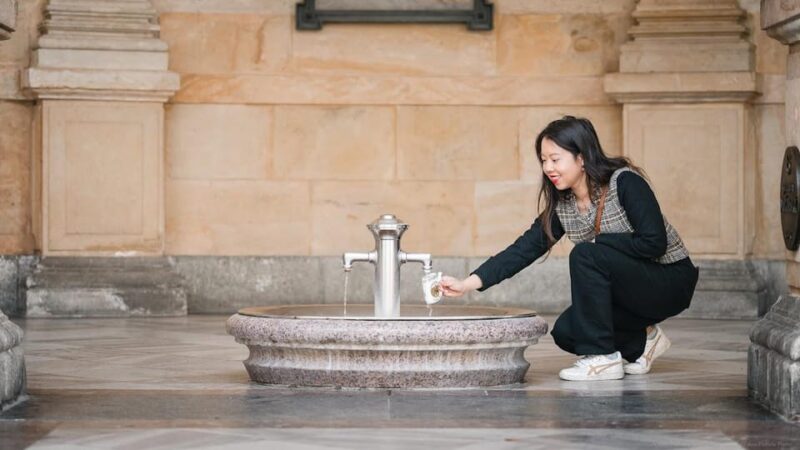 Karlovy Vary: Mineral Hot Springs Tasting and Walking Tour - Exploring Karlovy Vary’s 12 Healing Springs