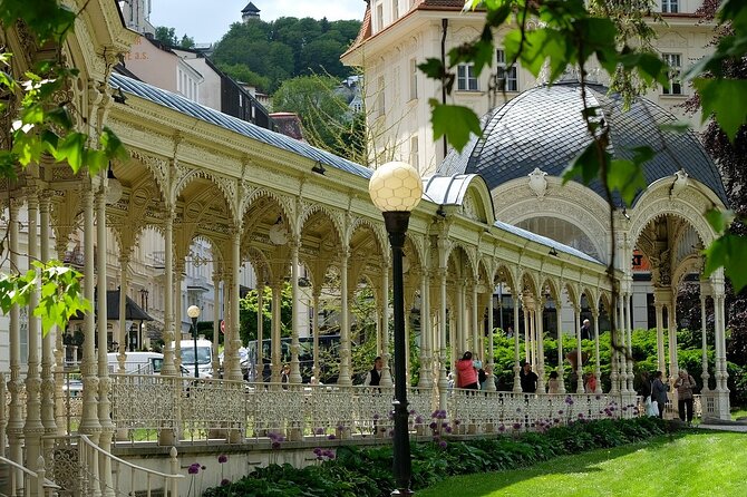 Karlovy Vary Private Walking Tour With A Professional Guide - Key Points